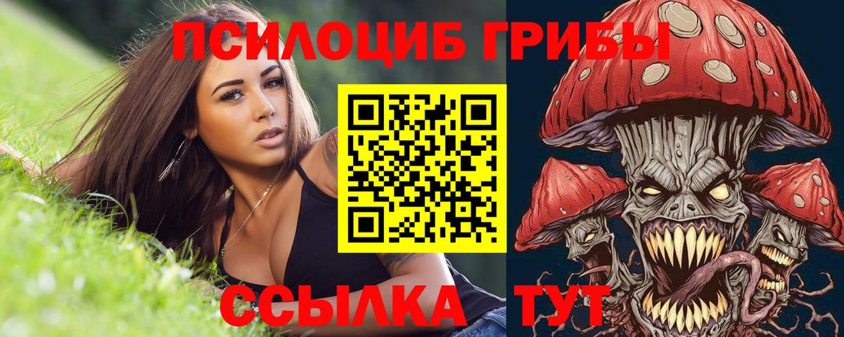Дзержинский  Псилоцибиновые грибы Psilocybe  Вход с VPN 